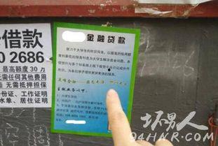 贫困生女主播琪琪,从贫困生到女主播的逆袭之路