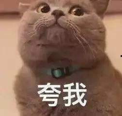 网红说说里的表情,网红说说表情背后的故事