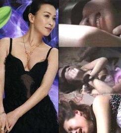 被向华强整过的女明星